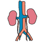 ckd_01