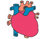 ckd_03