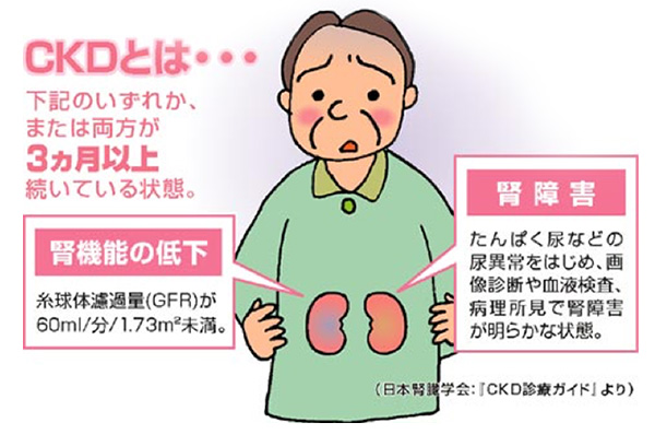 nephrology_about-1